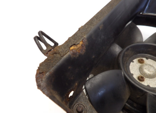 Fan Suzuki VS 700 Intruder