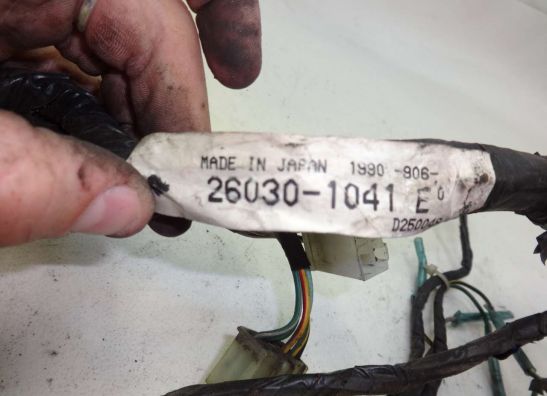 Kabelbaum Kawasaki ZZR 250