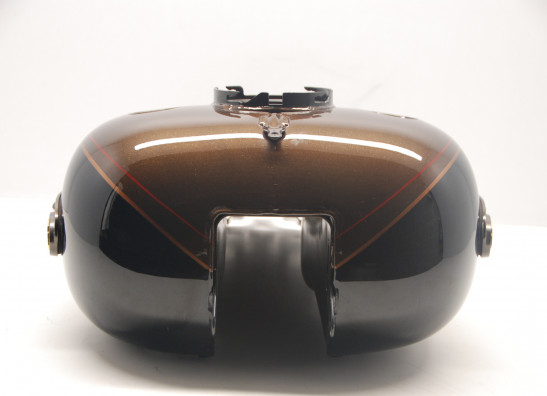 Tank Harley Davidson Touring FL