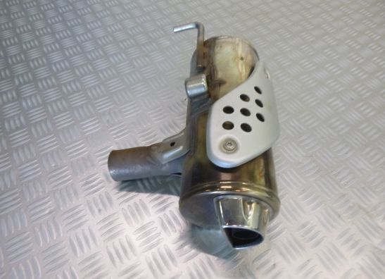 Muffler BMW F 650 GS