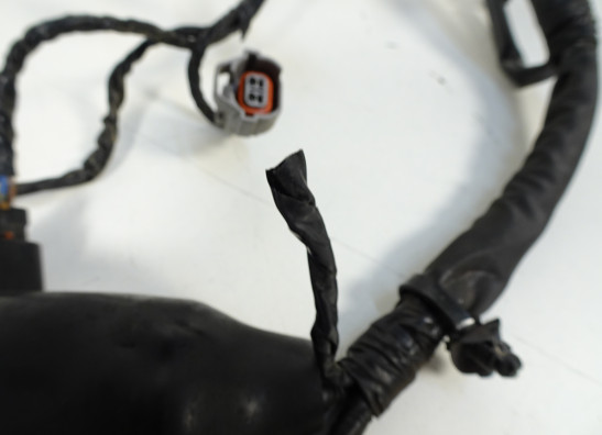 Kabelbaum Kawasaki ER 6