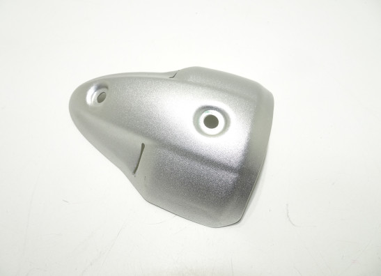 Auspuff Ducati monster 696