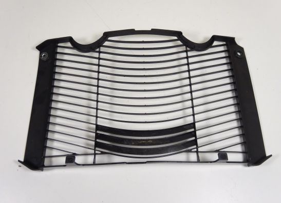 Kuhler Teile Yamaha FZ1