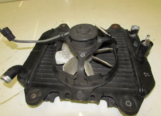 Radiateur Kawasaki ZZR 250