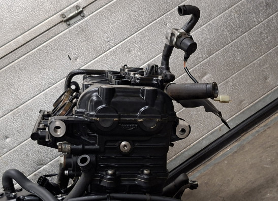 Motorblok Triumph Tiger 1050