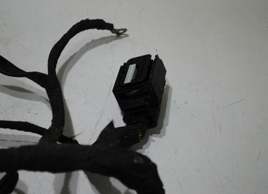 Wire Harness BMW K 1200 R 