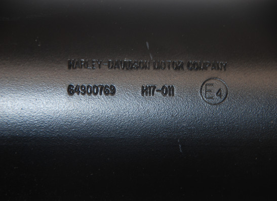 Auspuff Harley Davidson Touring FL