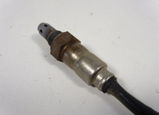 Lambdasonde Aprilia Tuono 660