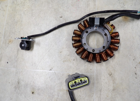 Dynamo Triumph Tiger 900 Rally Pro