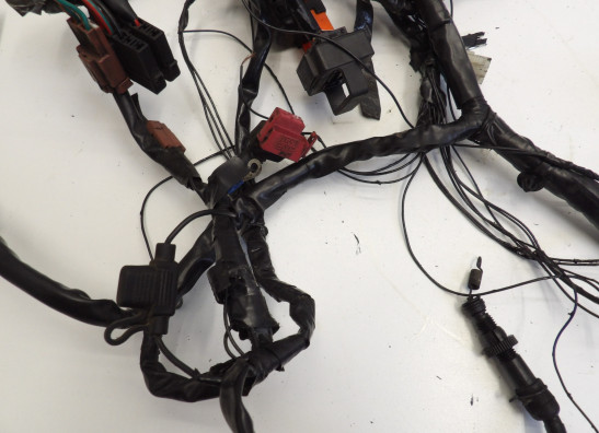 Kabelboom Honda CBF 1000