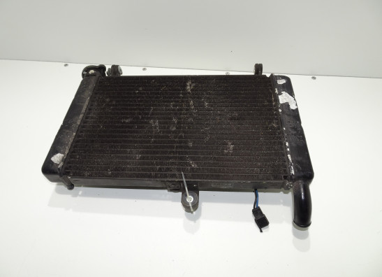 Radiator Yamaha YZF 600 Thundercat