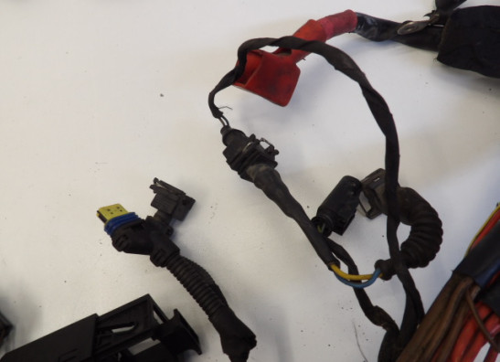 Kabelboom BMW R 1200 GS