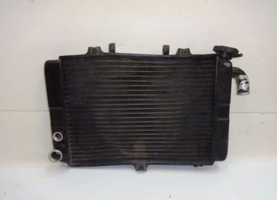 Radiator Kawasaki ZX 6 R