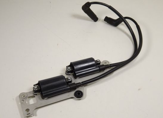 Zundspule Aprilia Tuono 1000