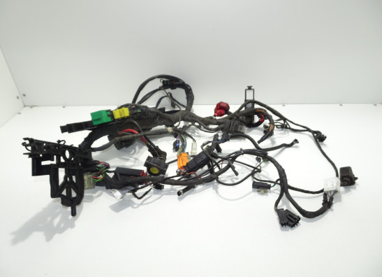 Wire Harness BMW F 650 CS Scarver