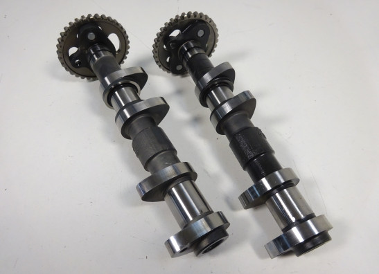 Nokkenas Aprilia Tuono 660