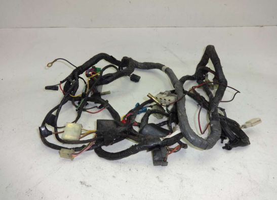 Wire Harness Kawasaki ZZR 1100