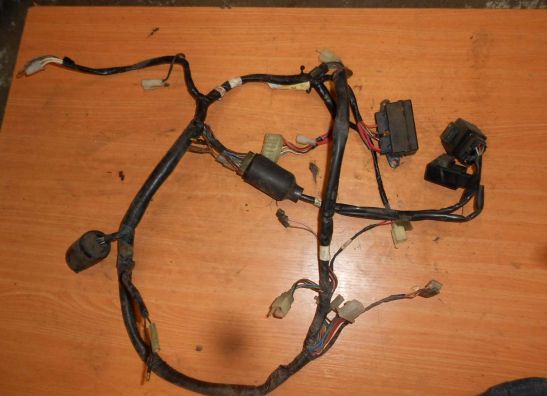 Wire Harness Yamaha XJ 600 Diversion