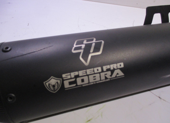 Sports exhaust BMW F 900 R