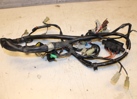 Kabelboom Yamaha FAZER 600