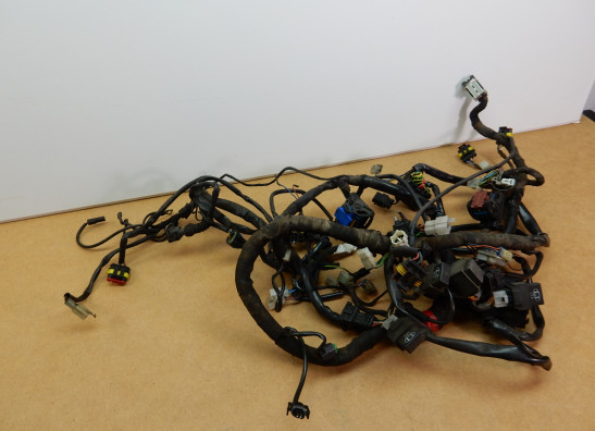 Wire Harness Moto Guzzi Norge