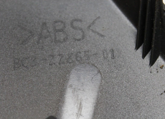 Frontverkleidung Mitte Yamaha XP 500 T-Max