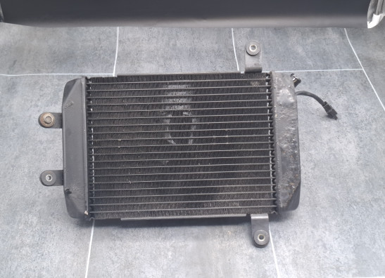 Radiator Suzuki Burgman 400