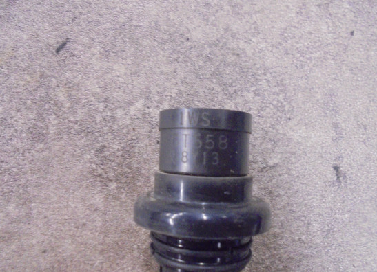 Bobine Yamaha XSR 700