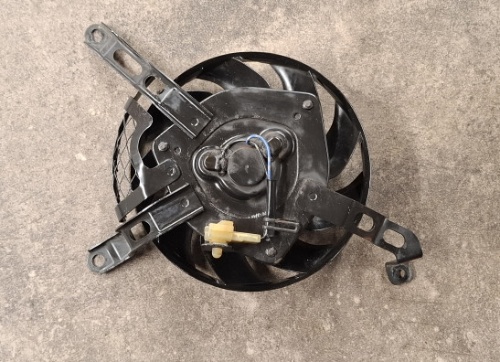 Fan Suzuki GSX R 1000