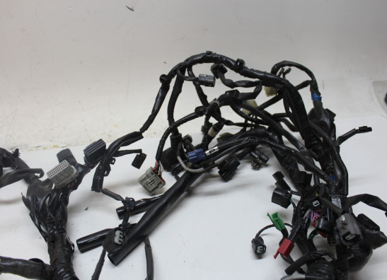 Kabelboom Honda X-adventure 750