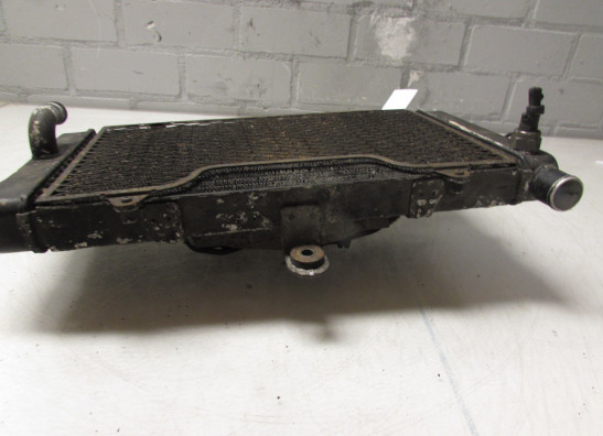 Radiator Honda CBR 1000 F