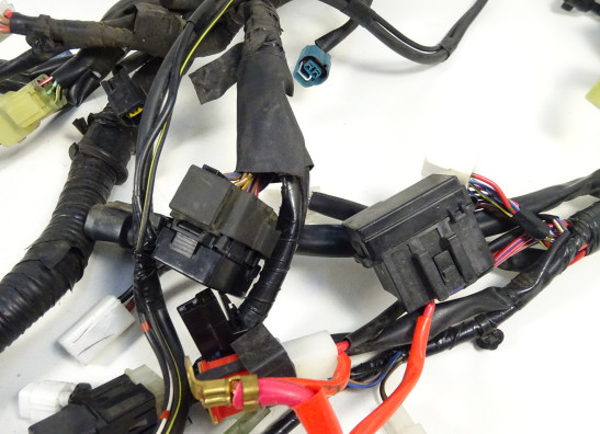 Wire Harness Yamaha MT 09