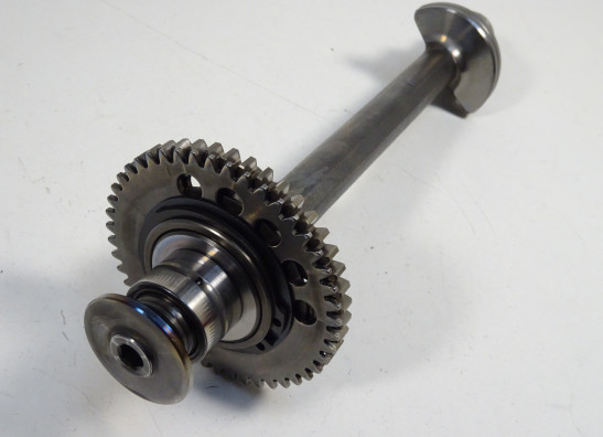 Engine parts Triumph Speed Triple 1050