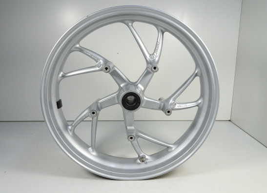 Voorvelg BMW K 1200 S 