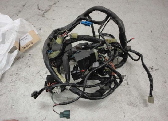 Kabelboom Yamaha FJR 1300