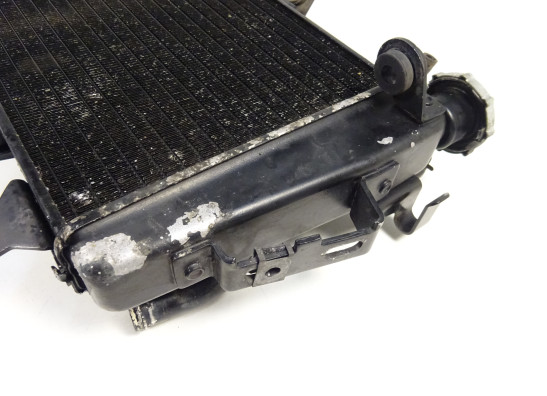 Radiateur Triumph Tiger 1050