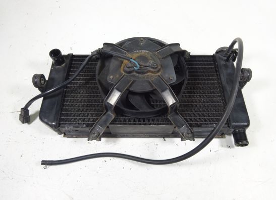 Radiateur Yamaha TDM