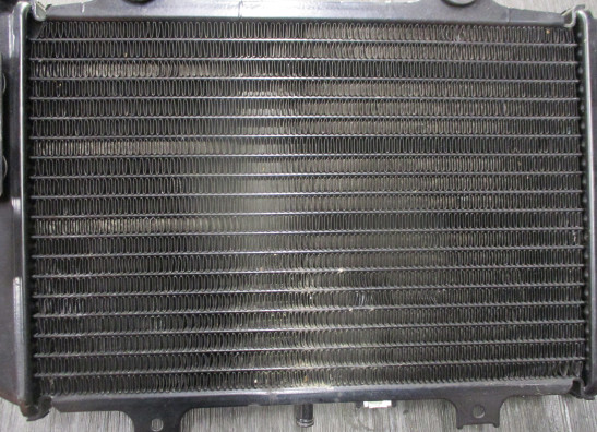 Radiateur BMW G 310 GS