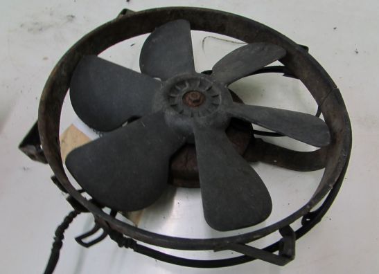 Fan Honda CBR 1000 F