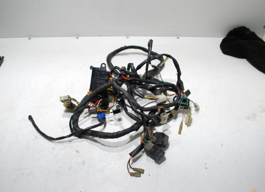 Wire Harness Suzuki RF 600