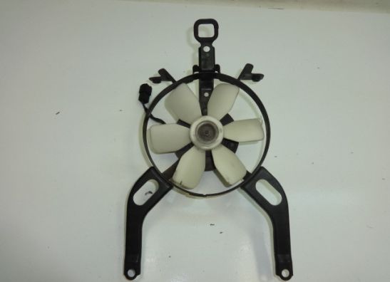 Fan Kawasaki GPX 600
