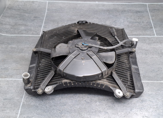 Radiator Suzuki GSX R 1100