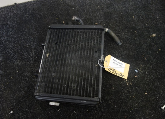 Radiator Aprilia Sportcity 125