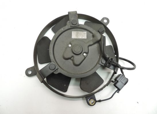 Lufter Honda CBR 900 RR