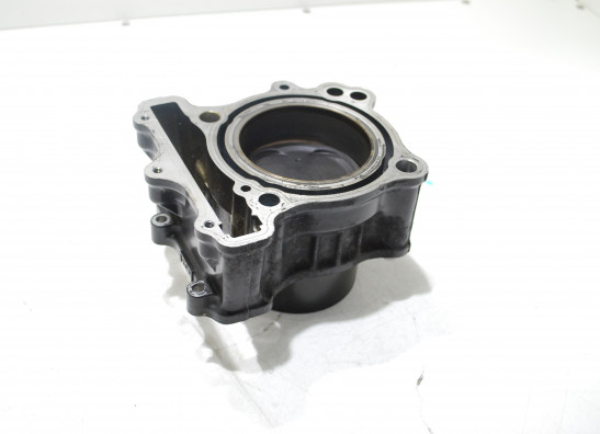 Cilinderblok Suzuki SV 650