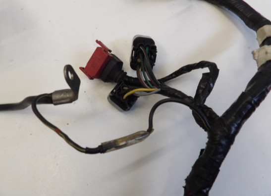 Wire Harness Kawasaki VN 800