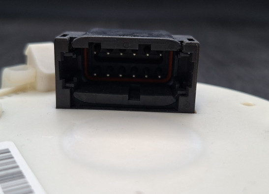 Teller Harley Davidson Softtail