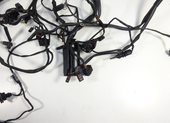 Kabelboom BMW F 650 GS