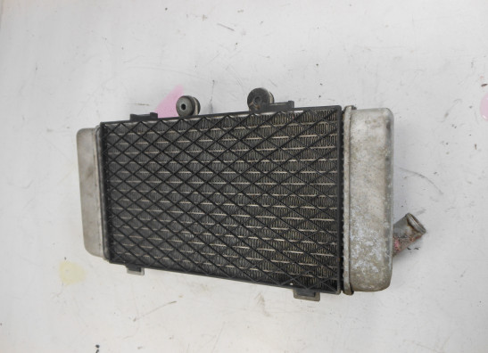 Radiator Honda XL 1000 V Varadero