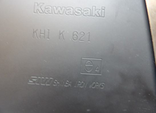 Auspuff Kawasaki Z 800